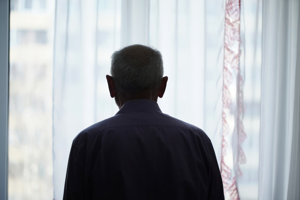 Silhouette of a retired man looking through the window with transparent curtains standing in the back view of the house. Loneliness and the old concept of human care.